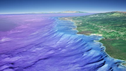 Cesium World Bathymetry of the Hawaii coastline